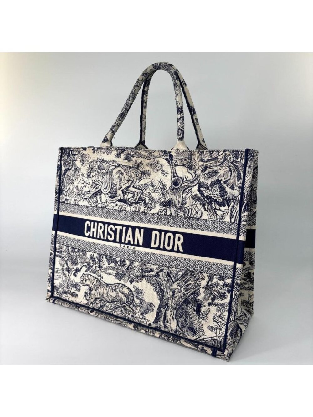 Dior Toile de Jouy Book Tote Large - Picture 2 of 13